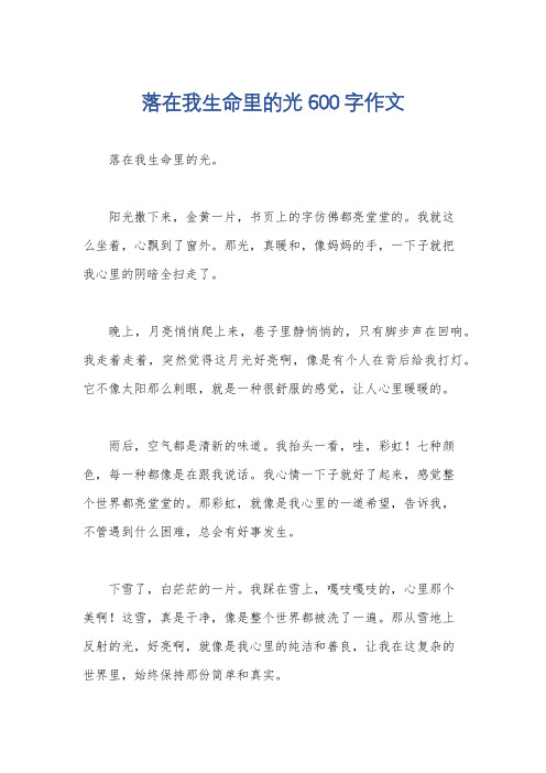 落在我生命里的光600字作文