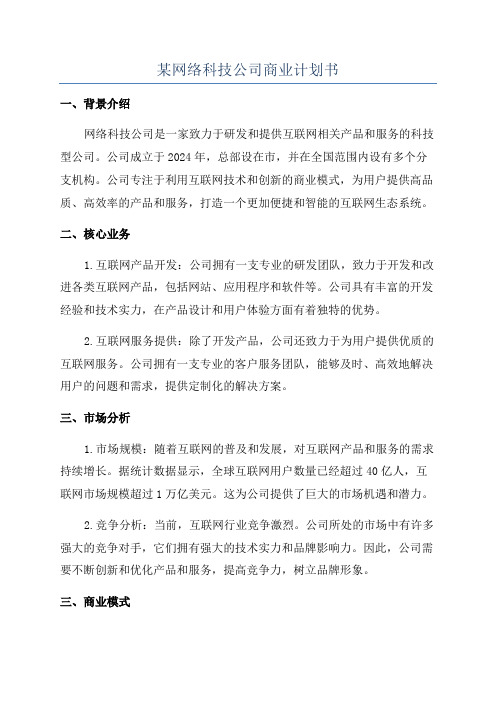 某网络科技公司商业计划书