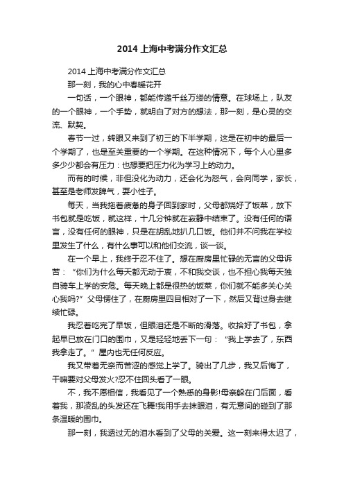 2014上海中考满分作文汇总