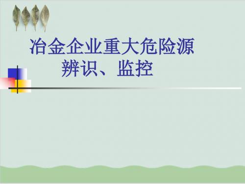 冶金企业重大危险源辨识监控及管理PPT课件( 49页)