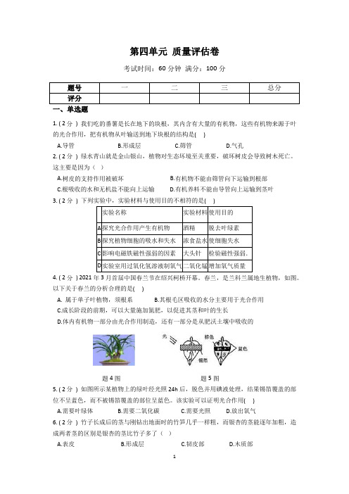 华师大 科学  八上 第四单元 植物的物质和能量的转化 质量评估卷