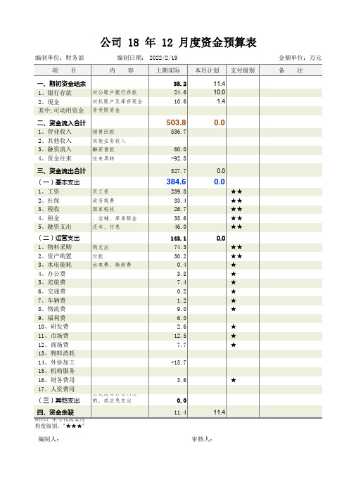 公司月度资金预算表