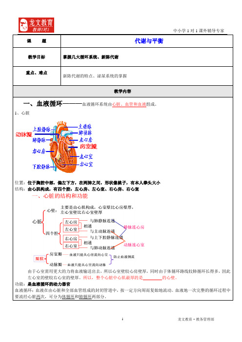 循环系统 讲义