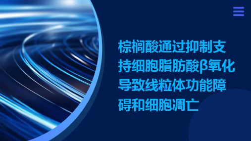 棕榈酸通过抑制支持细胞脂肪酸β氧化导致线粒体功能障碍和细胞凋亡演示稿件