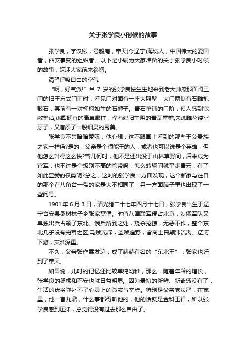 关于张学良小时候的故事