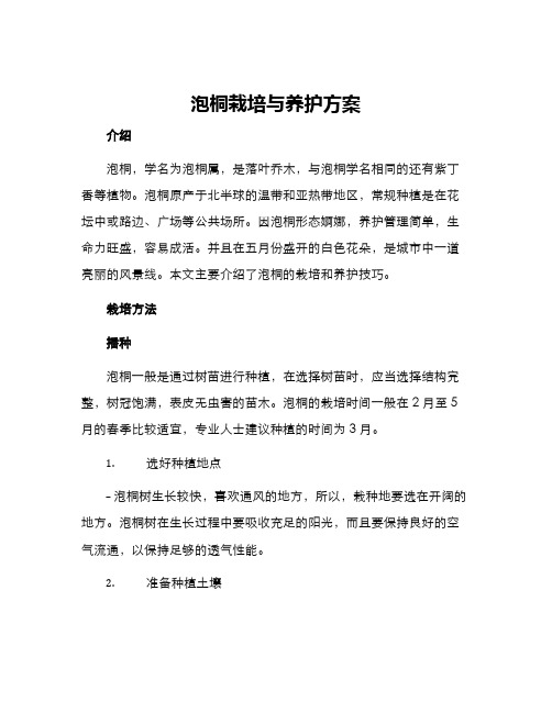 泡桐栽培与养护方案