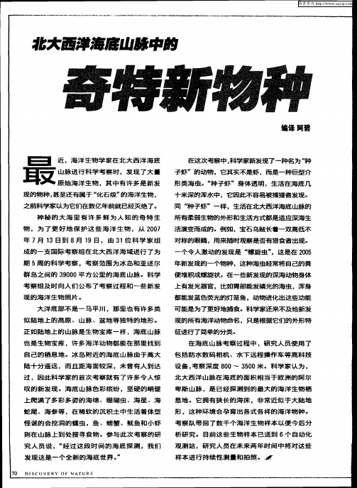 北大西洋海底山脉中的奇特新物种