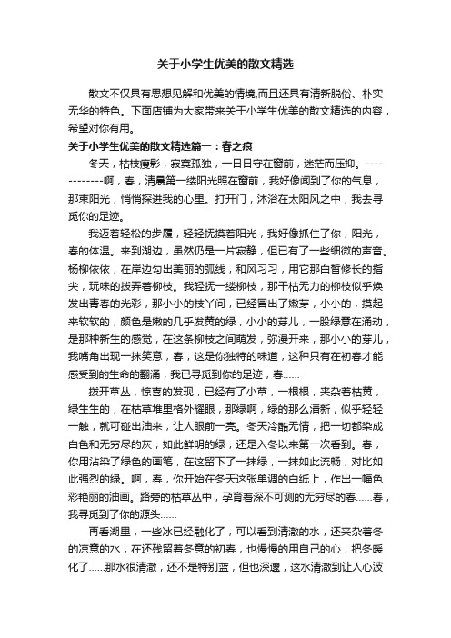 关于小学生优美的散文精选