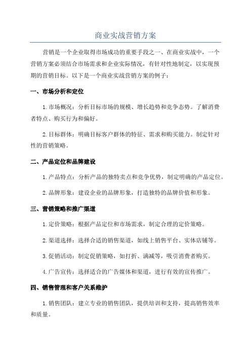 商业实战营销方案