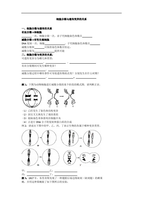 高考生物总复习例题讲解：细胞分裂与遗传变异的关系