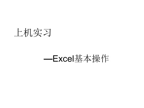 信息处理技术上机Excel基本操作汇总