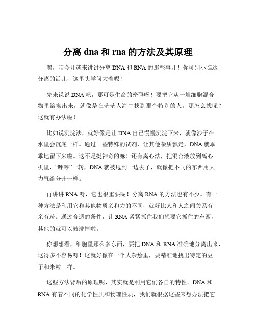 分离dna和rna的方法及其原理