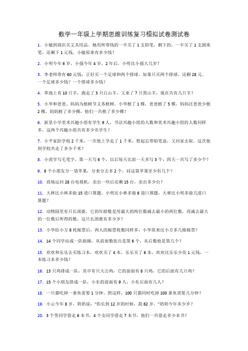 数学一年级上学期思维训练复习模拟试卷测试卷