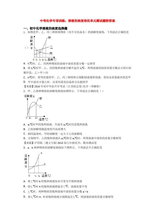 中考化学专项训练：溶液的浓度培优单元测试题附答案