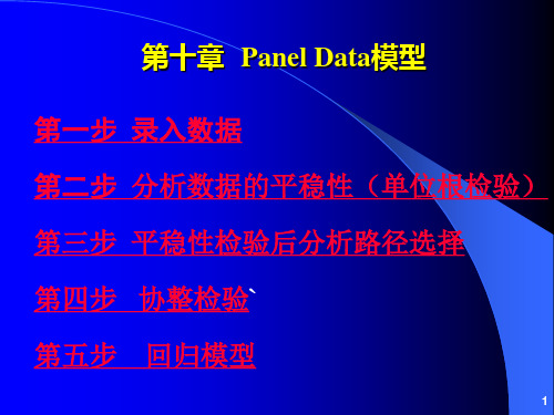 Panel Data模型