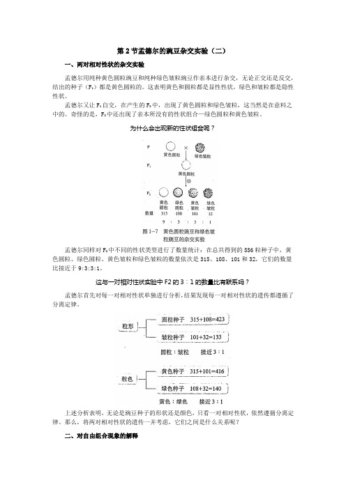 第2节孟德尔的豌豆杂交实验(二)课本知识点