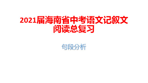 2021届海南省中考语文记叙文阅读总复习：句段分析