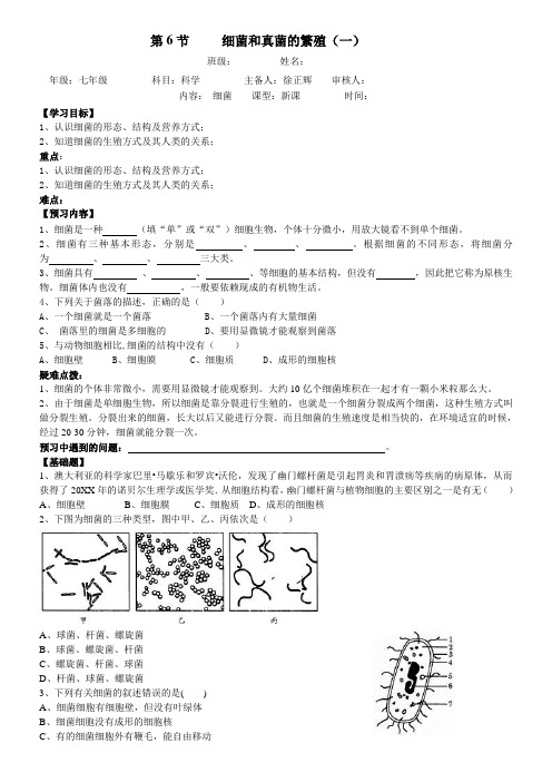 第6节细菌和真菌的繁殖导学案