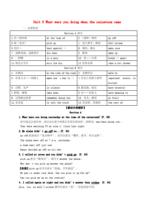 八年级英语下册Unit5Whatwereyoudoingwhentherainstormcame短语语法知识点汇总