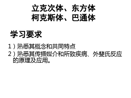 立克次体、东方体、柯克斯体、巴通体概述