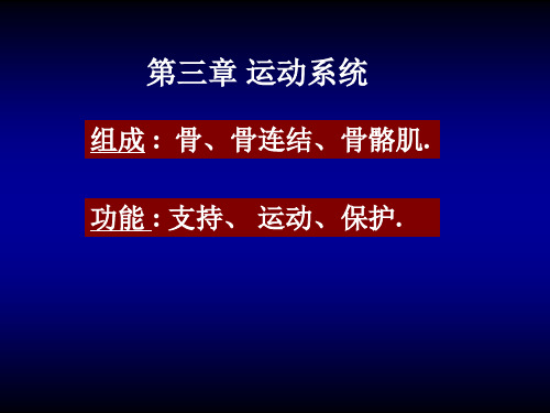 人体构造 03-运动系统
