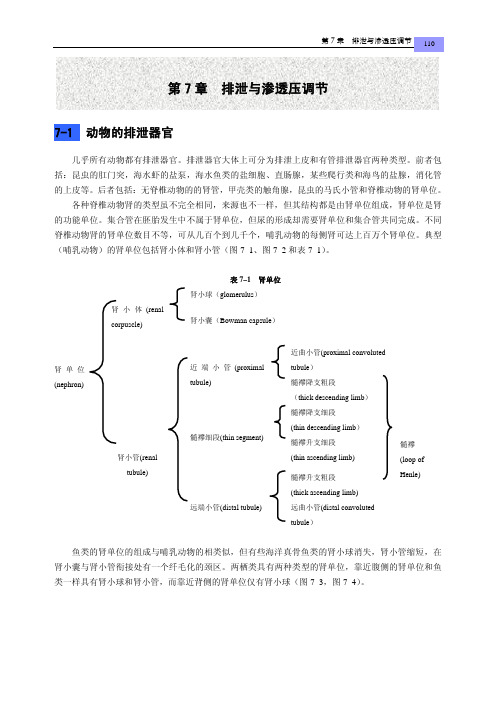 第七章排泄与渗透压调节