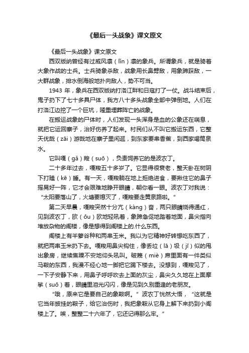 《最后一头战象》课文原文