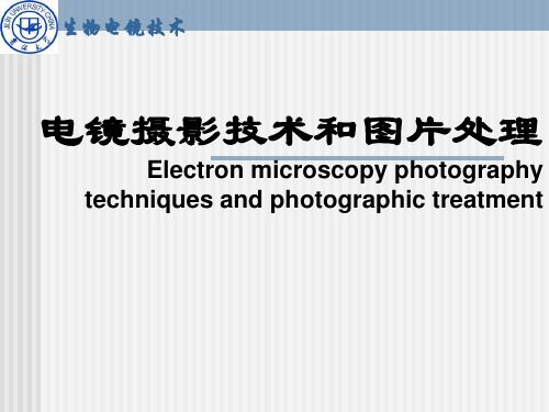 电镜摄影技术和图像处理-七年制
