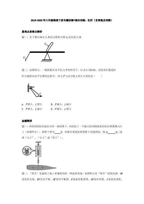 2019-2020年八年级物理下册专题讲解+课后训练：杠杆(含答案及详解)