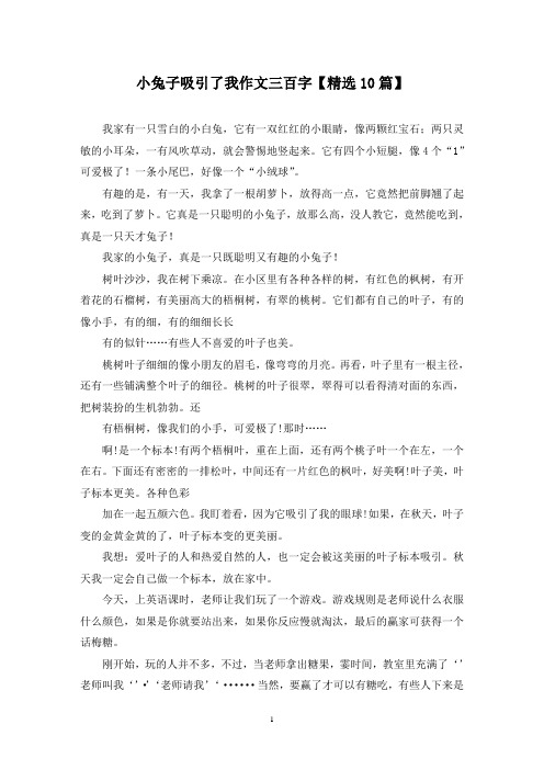 精选小兔子吸引了我作文三百字【10篇】