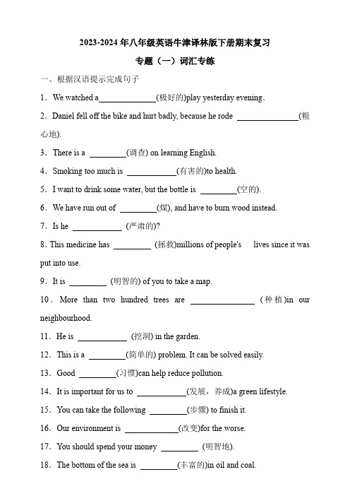 2023-2024年八年级英语牛津译林版下册期末复习专题一词汇专练 (含解析)