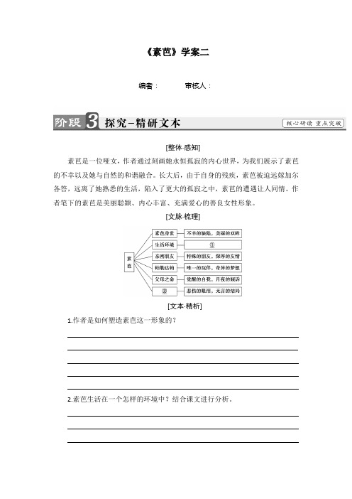 山西省阳高县第一中学高中语文选修 外国小说欣赏 8《素芭》学案二