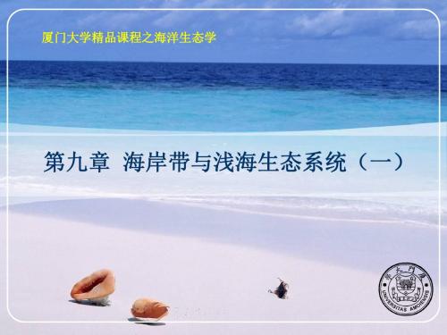 第九章海岸带与浅海生态系统(一)