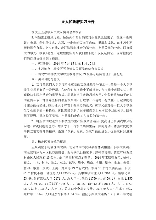 乡人民政府实习报告