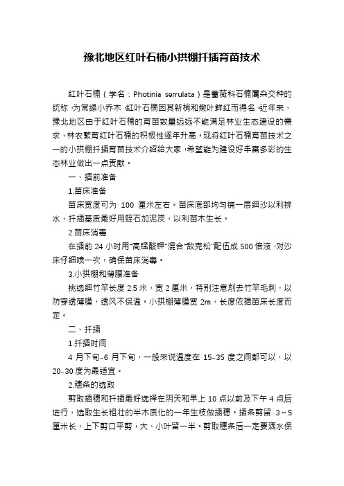 豫北地区红叶石楠小拱棚扦插育苗技术