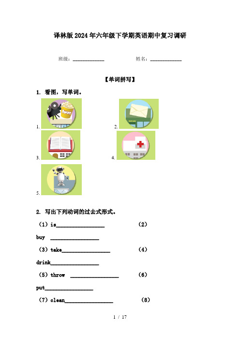 译林版2024年六年级下学期英语期中复习调研