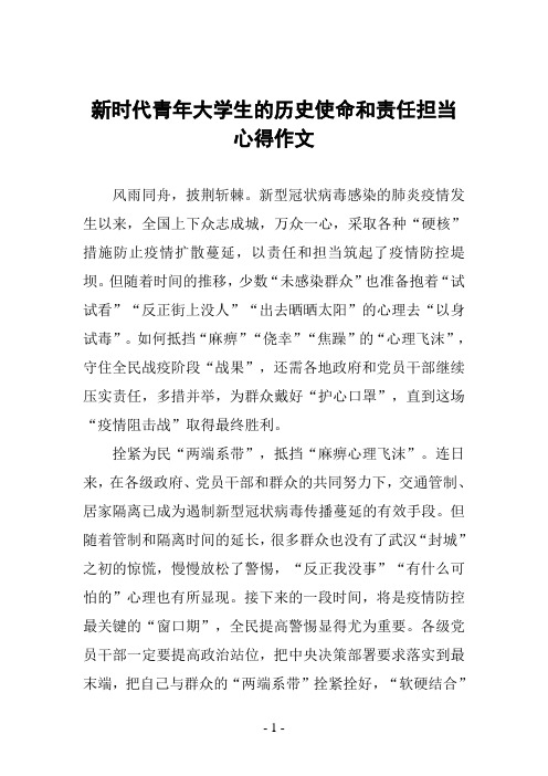 新时代青年大学生的历史使命和责任担当心得作文