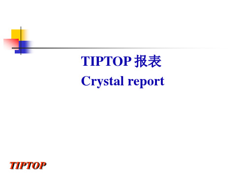 TIPTOP报表