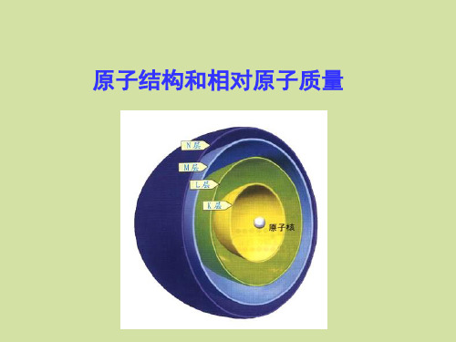 上海科学技术出版社高中化学一年级第一学期：原子结构和相对原子质量