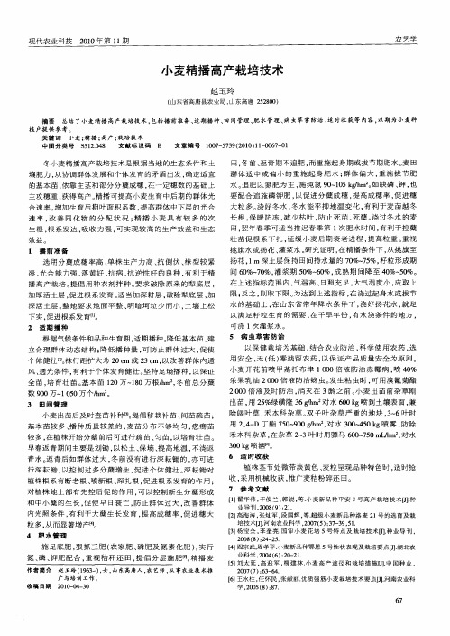 小麦精播高产栽培技术