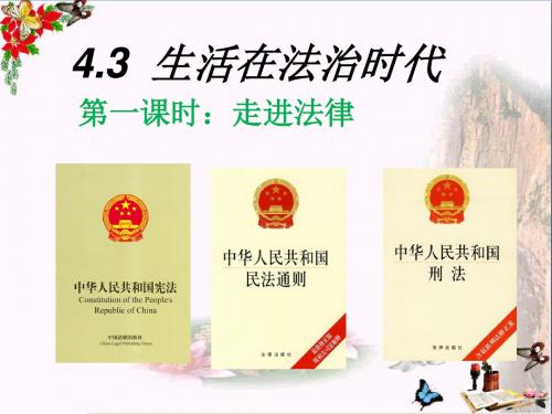 走进法律ppt优秀课件3(2份) 粤教版