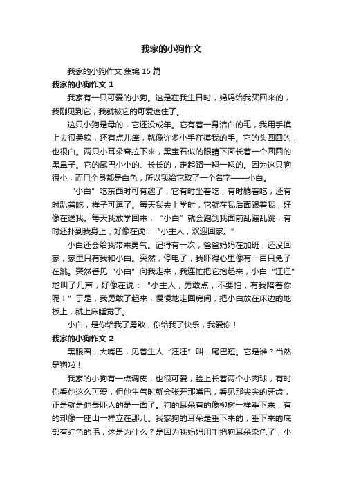 我家的小狗作文集锦15篇