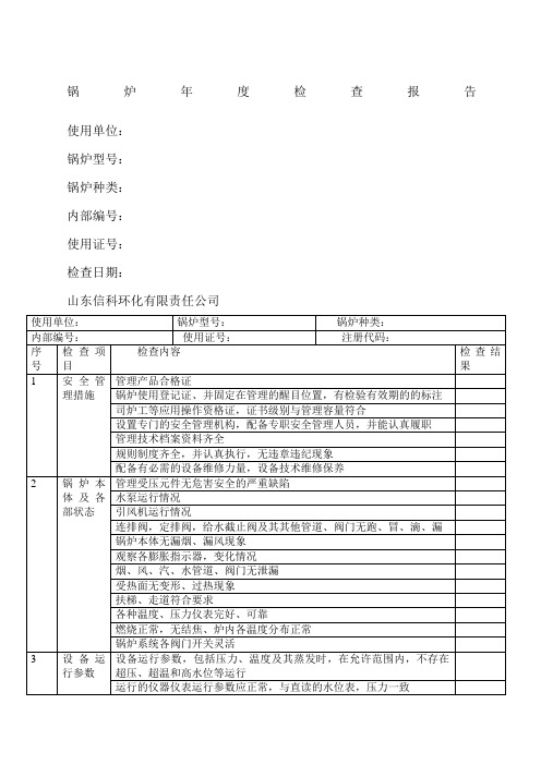 锅炉度检查报告