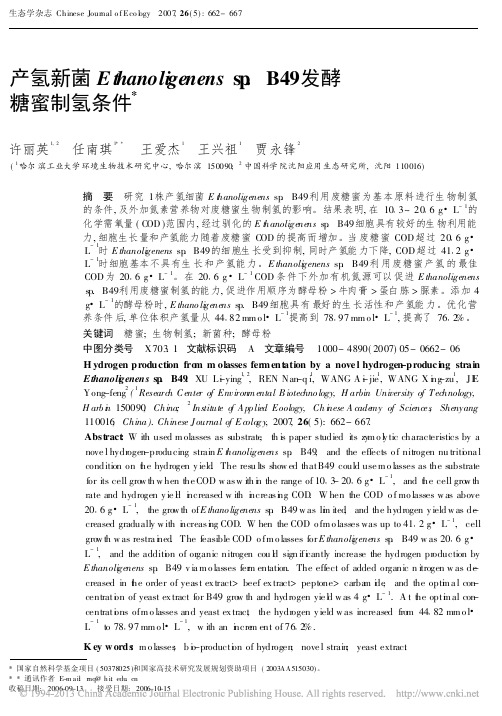 产氢新菌Ethanoligenenssp_B49发酵糖蜜制氢条件