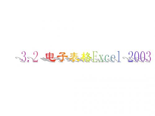 大学计算机Excel 2003课件