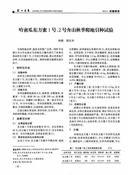 哈密瓜东方蜜1号、2号舟山秋季爬地引种试验