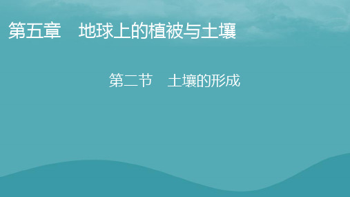 2023年新教材高中地理第5章地球上的植被与土壤第2节土壤的形成课件湘教版必修第一册