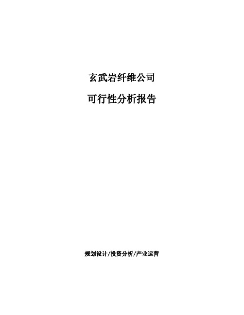 玄武岩纤维公司可行性分析报告