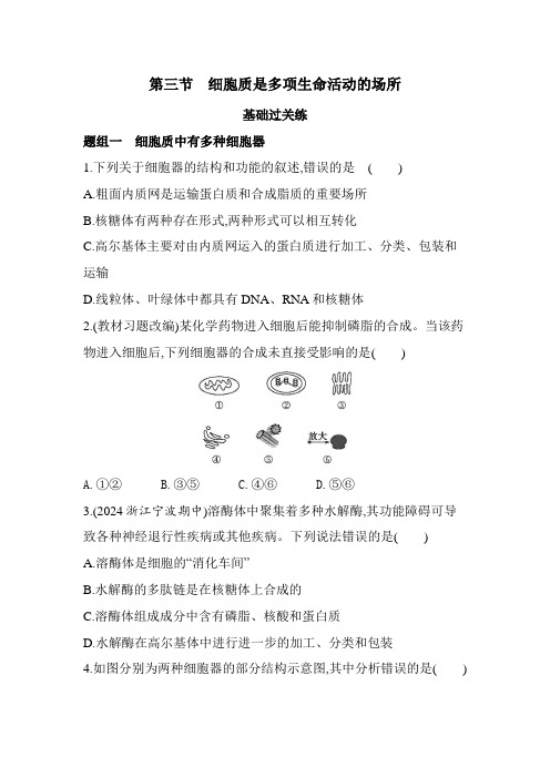 浙科版高中生物必修1第二章细胞的结构第三节细胞质是多项生命活动的场所练习含答案