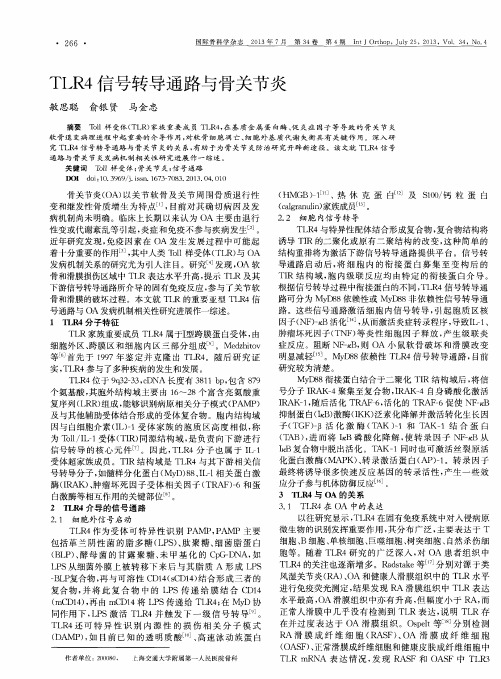 TLR4信号转导通路与骨关节炎